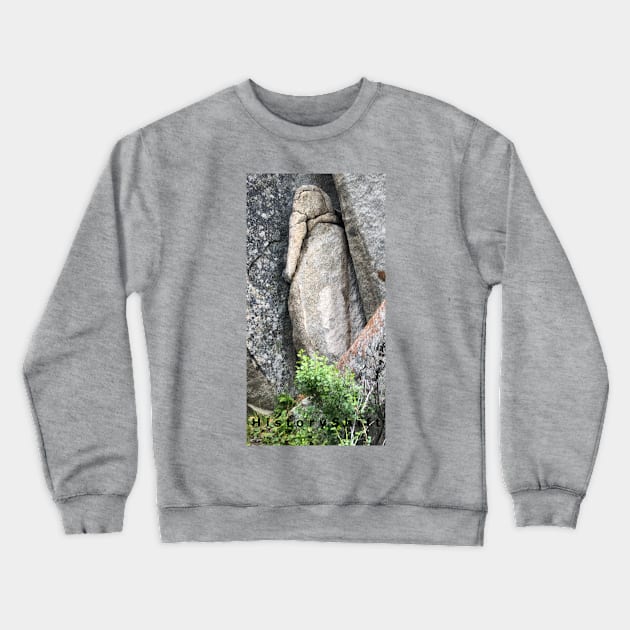 Bird in Stone Resembling Ancient Egyptian Goddess Crewneck Sweatshirt by HistoryShift